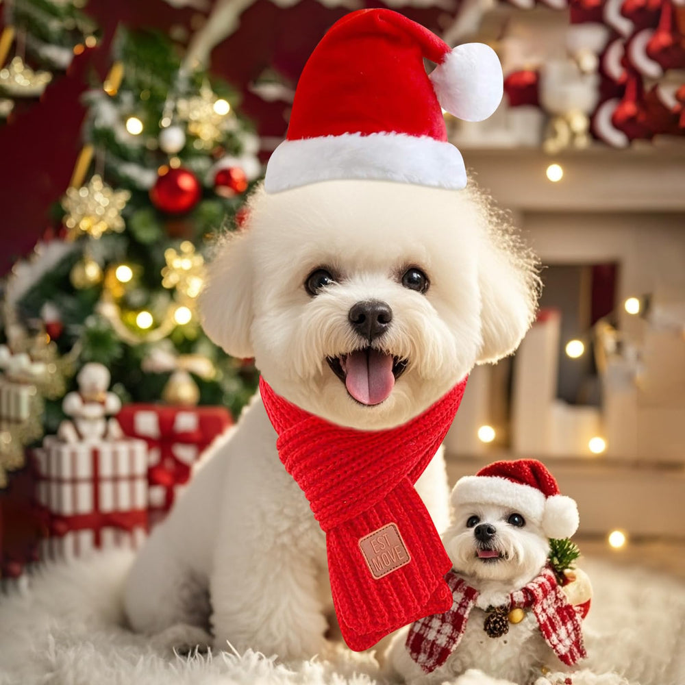 Wiz BBQT dog Christmas set on dog displays coordinated hat and scarf