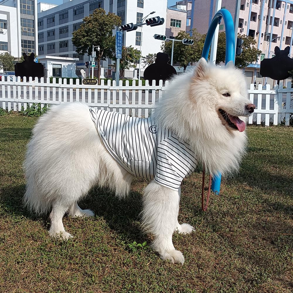 Wiz BBQT human-pet coordinated outfits ideal for walks and parties