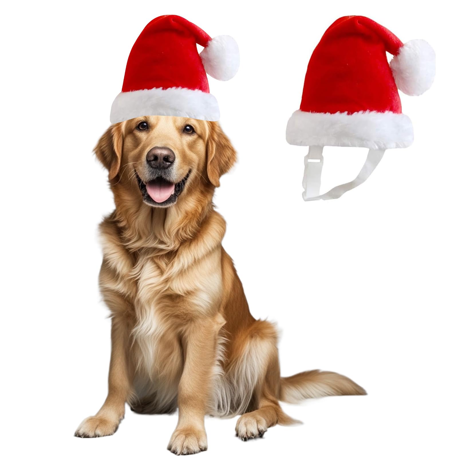 Wiz BBQT large dog Santa hat front view for festive large-dog photos