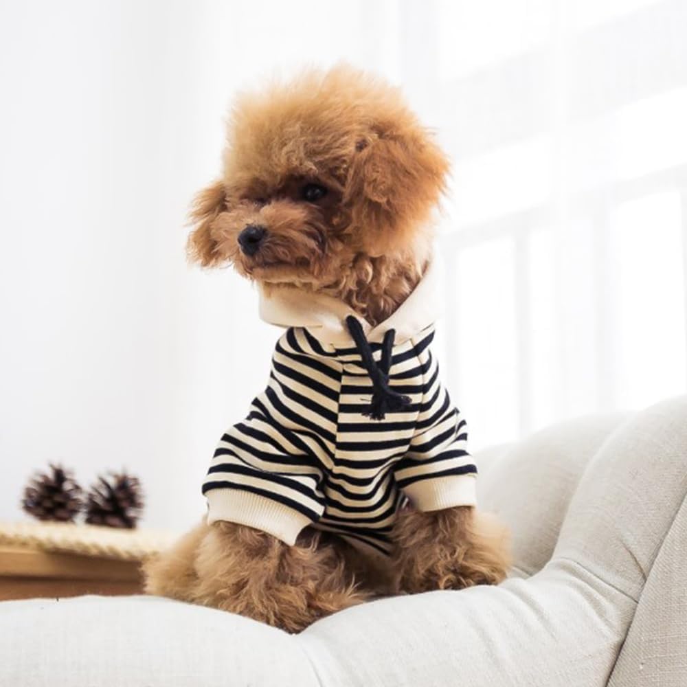Wiz BBQT mom-dad striped sweatshirts for coordinated family gatherings.