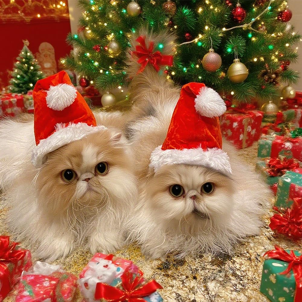 Wiz BBQT Santa hat with adjustable elastic strap fits tiny pets securely