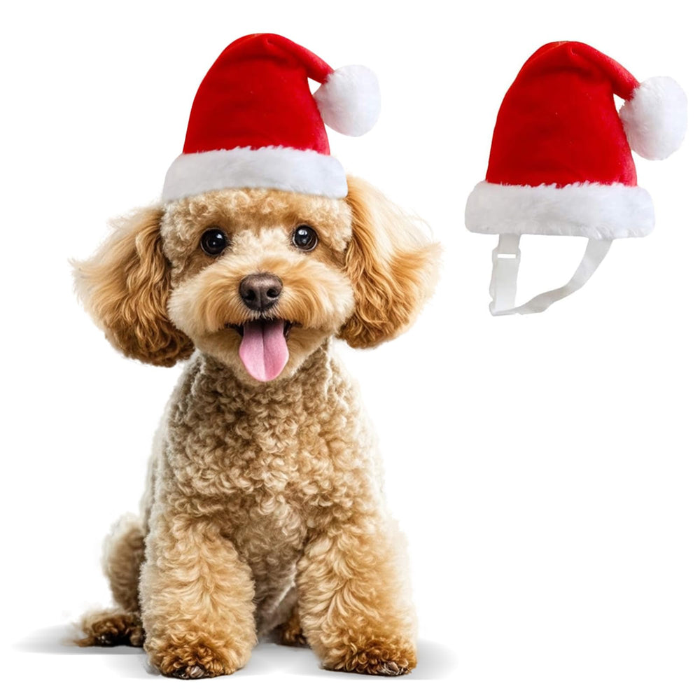 Wiz BBQT small dog Santa hat with pom for festive photo moments
