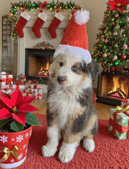 Wiz BBQT soft plush fabric Santa hat for gentle wear
