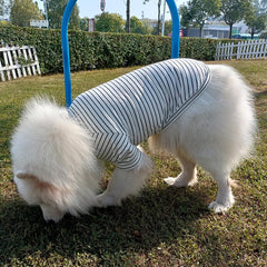 Wiz BBQT striped dog shirt featuring a smile pattern for cute pet styling