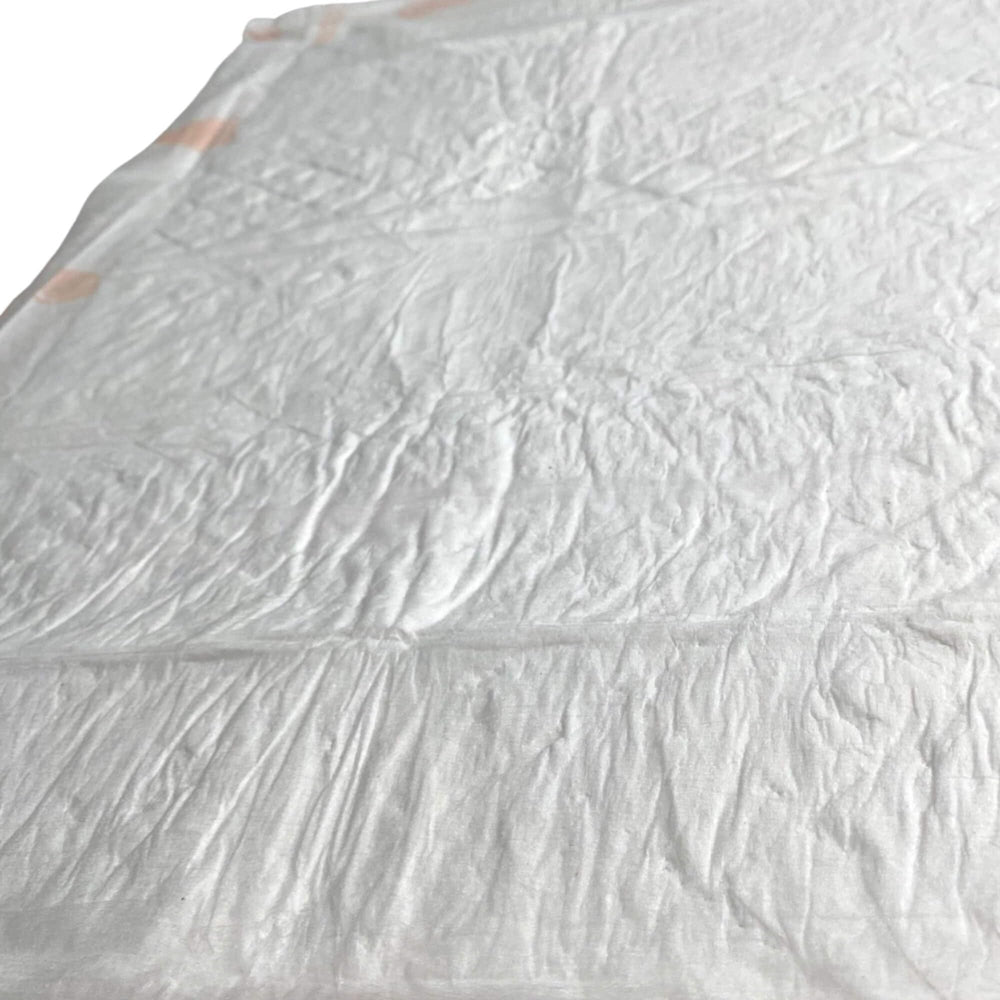 WizSmart large-dog indoor-use pad suited for homes with multiple pets.