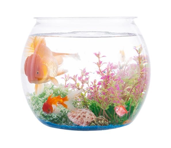 Wliwwo two-pack plastic fish bowls show a clear 1-gallon tank for versatile centerpieces