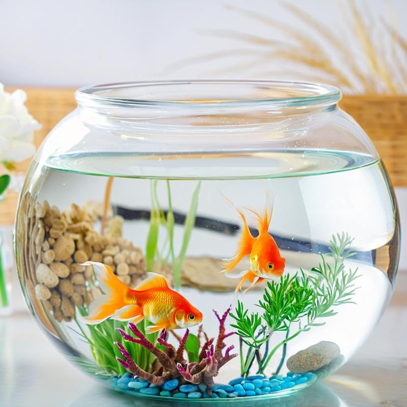 Wliwwo candy jar display bowl for party treats and gifts