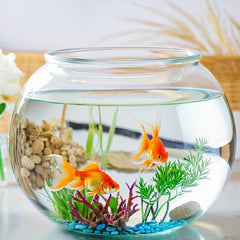 Wliwwo candy jar display bowl for party treats and gifts