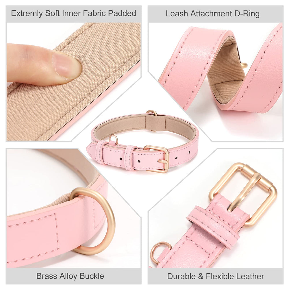 WLIXPBB adjustable collar comes in four sizes to fit small, medium, and large dogs.