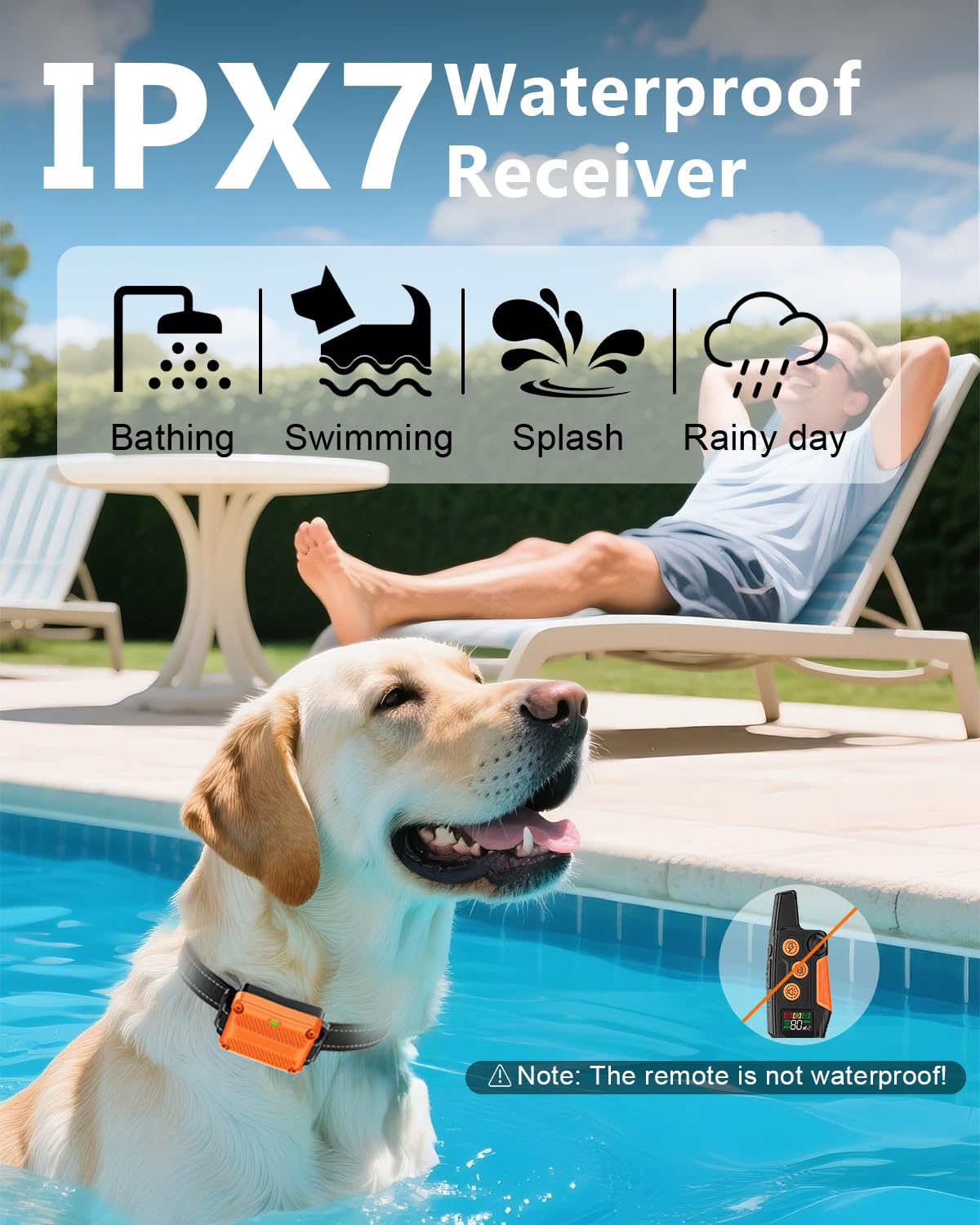 WLLNEE adjustable collar fits 5-120 lb dogs