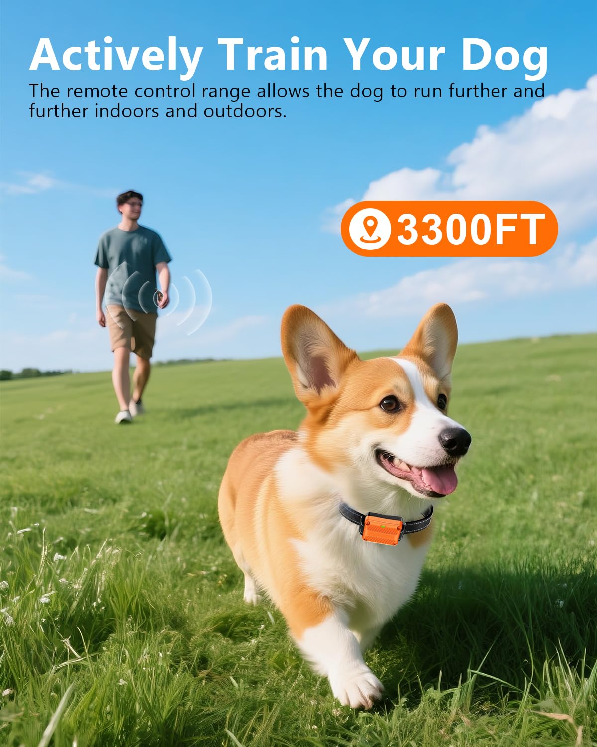 WLLNEE IPX7 waterproof receiver for weather-friendly training