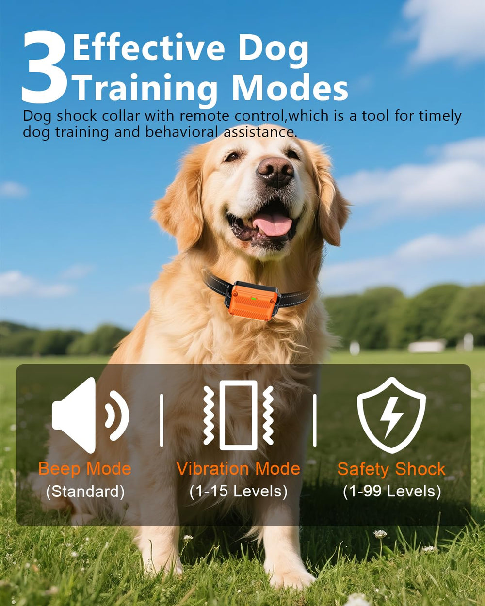 WLLNEE training remote with 3300ft range for outdoor sessions