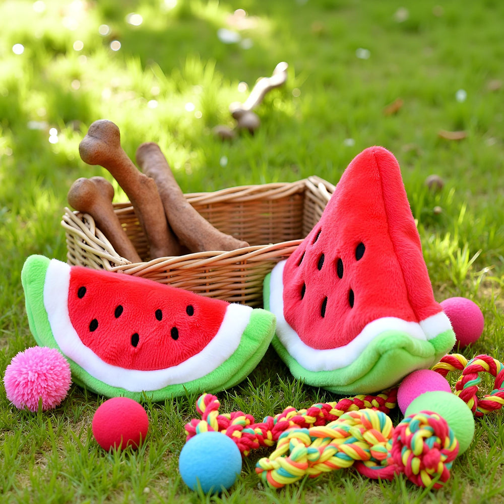 WLngtv watermelon-shaped puppy chew during playtime offers interactive fun
