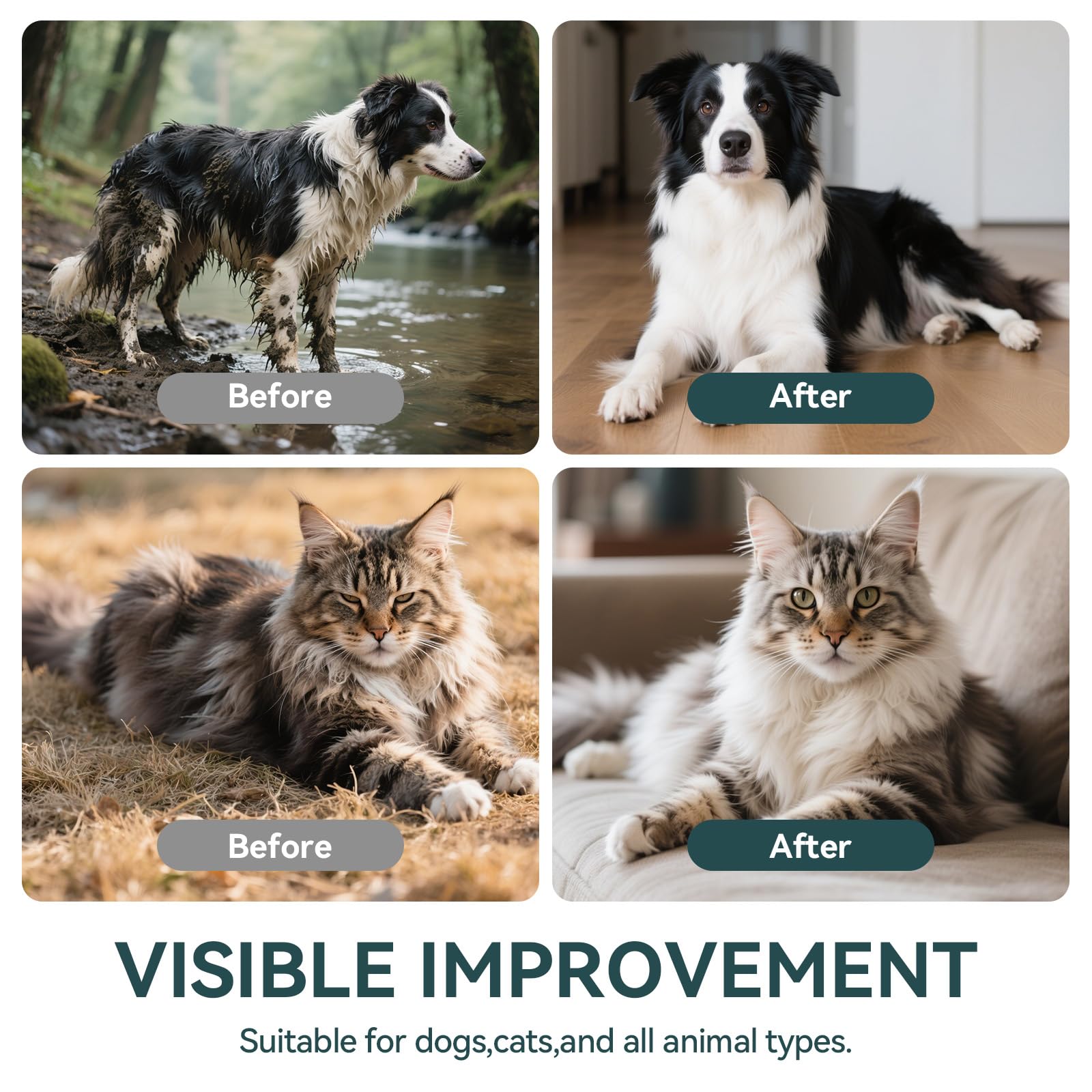 WLP Pet Glove Wipes after-groom scene illustrates post-activity refresh for pets