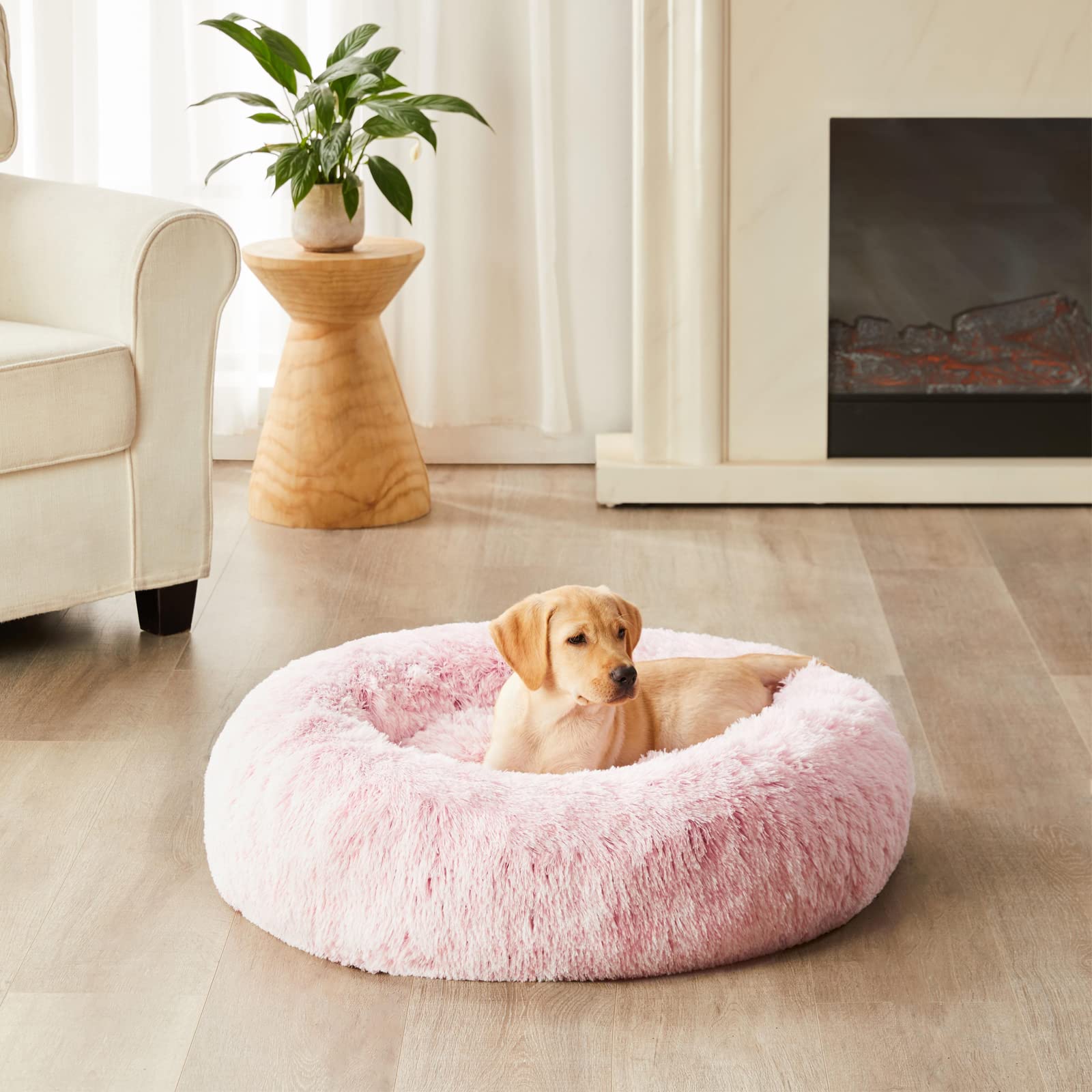 WNPETHOME packaged dog bed image showing compressed shape and easy fluffing.
