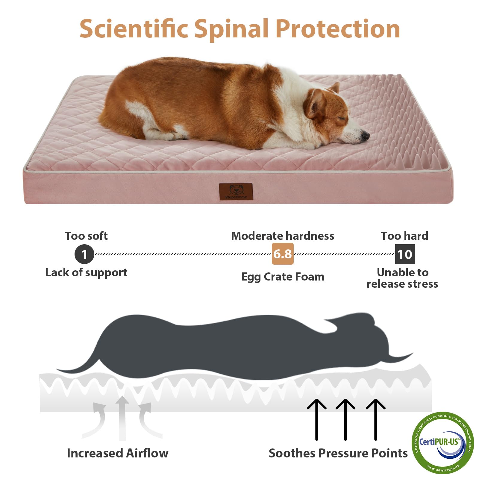 WNPETHOME dog bed removable washable cover for easy cleaning