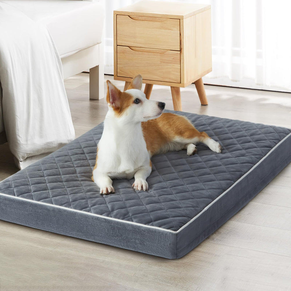 WNPETHOME orthopedic XL dog bed front view shows roomy space for large dogs and comfort.