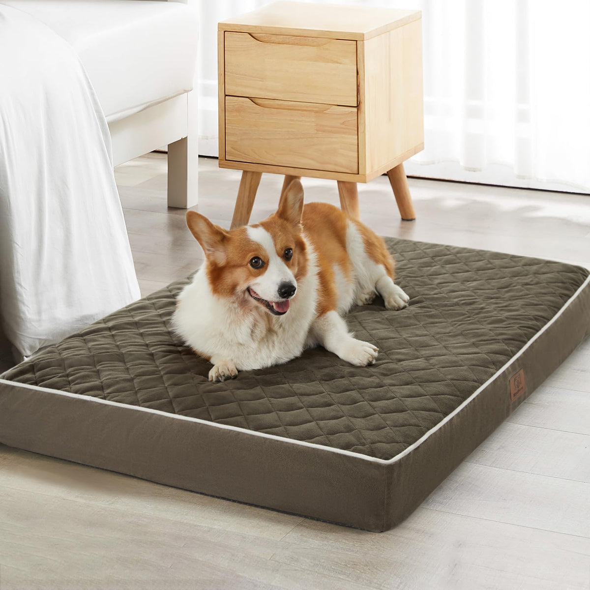 WNPETHOME orthopedic XL dog bed velvet-surface for soft warmth and comfort.