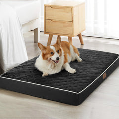 WNPETHOME orthopedic XL dog bed velvet surface offers cozy warmth for nightly comfort.