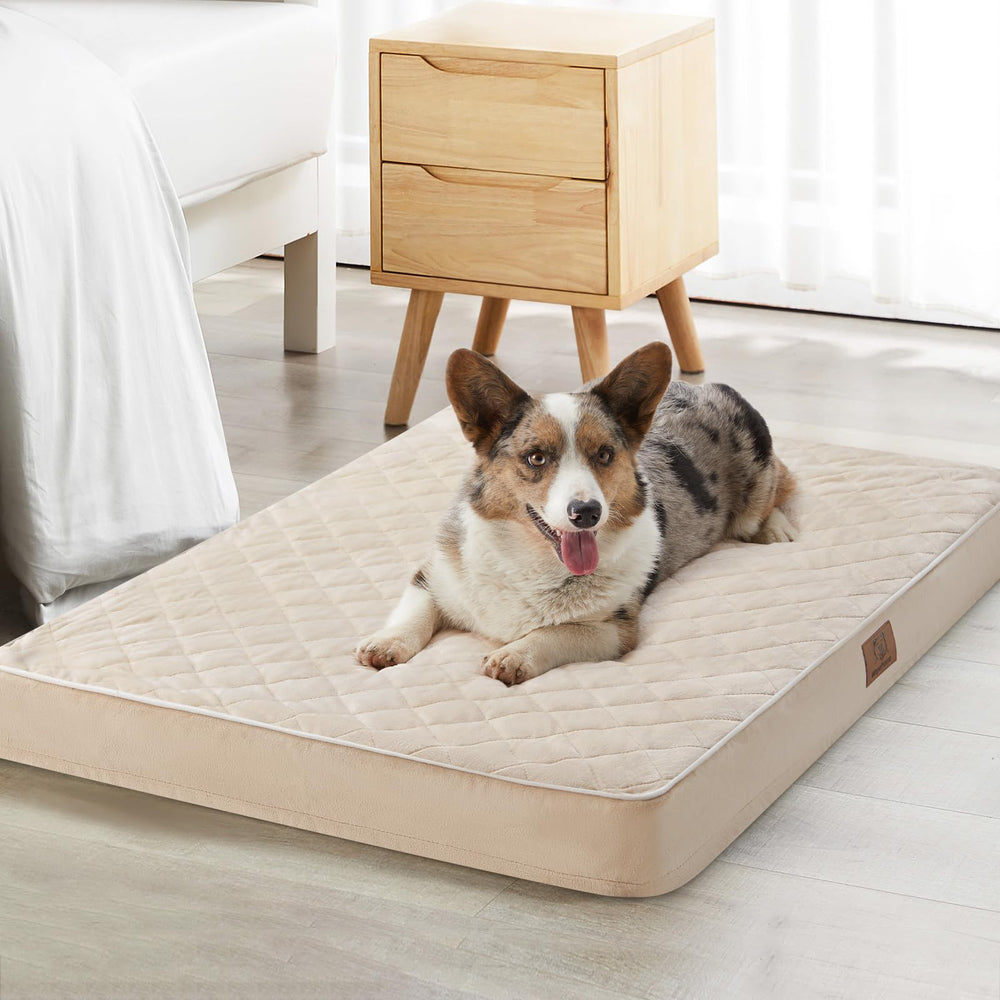 WNPETHOME orthopedic XL dog bed with high-density foam for comfortable naps.