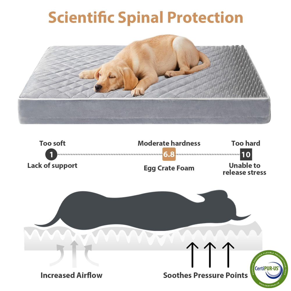 WNPETHOME orthopedic bed with egg crate foam relieves pressure and supports joints