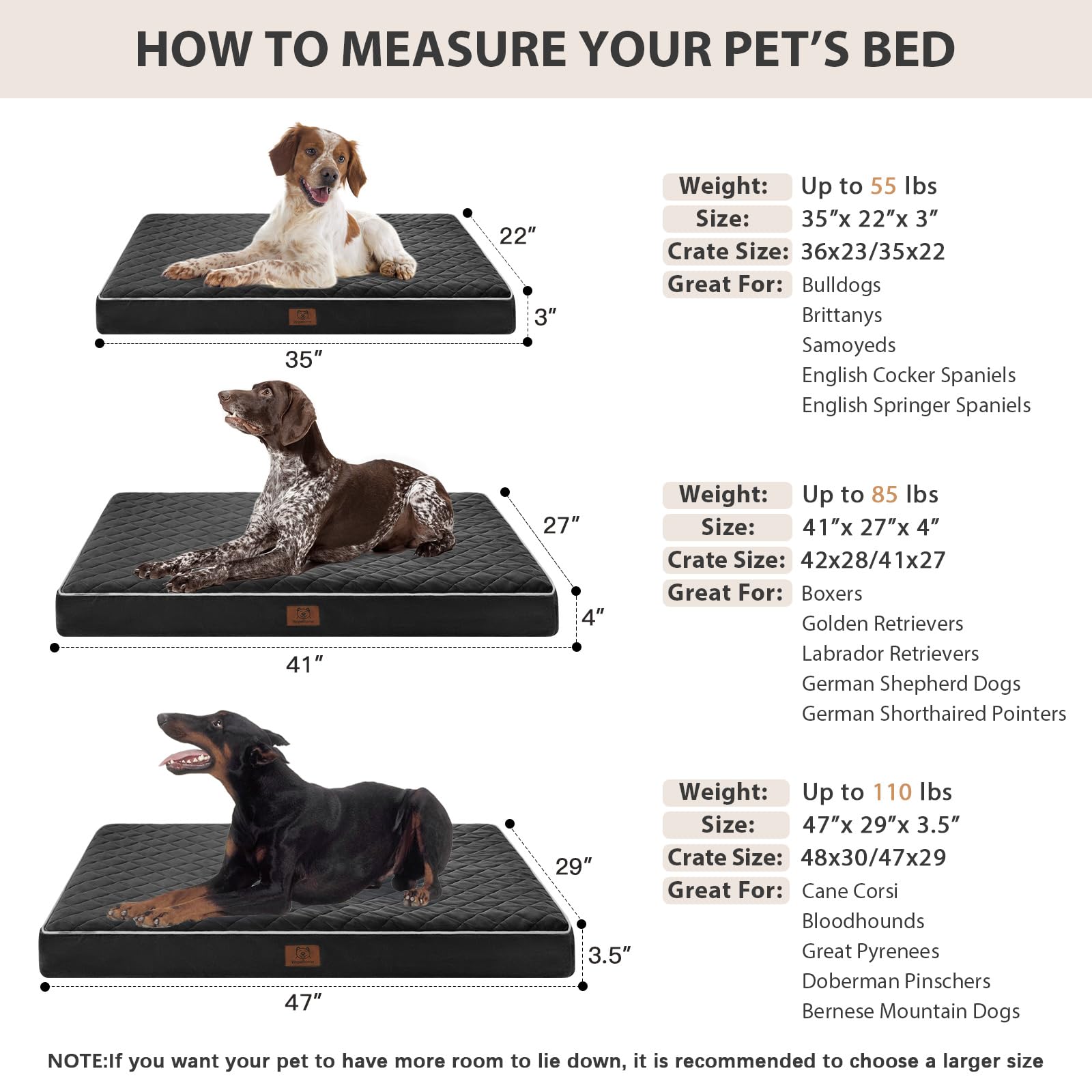 WNPETHOME vacuum-sealed box expands to full size after opening