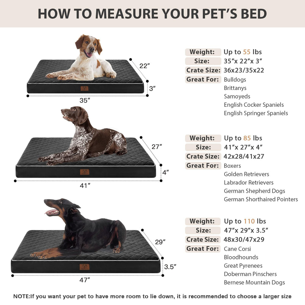WNPETHOME vacuum-sealed packaging helps compact expansion after delivery
