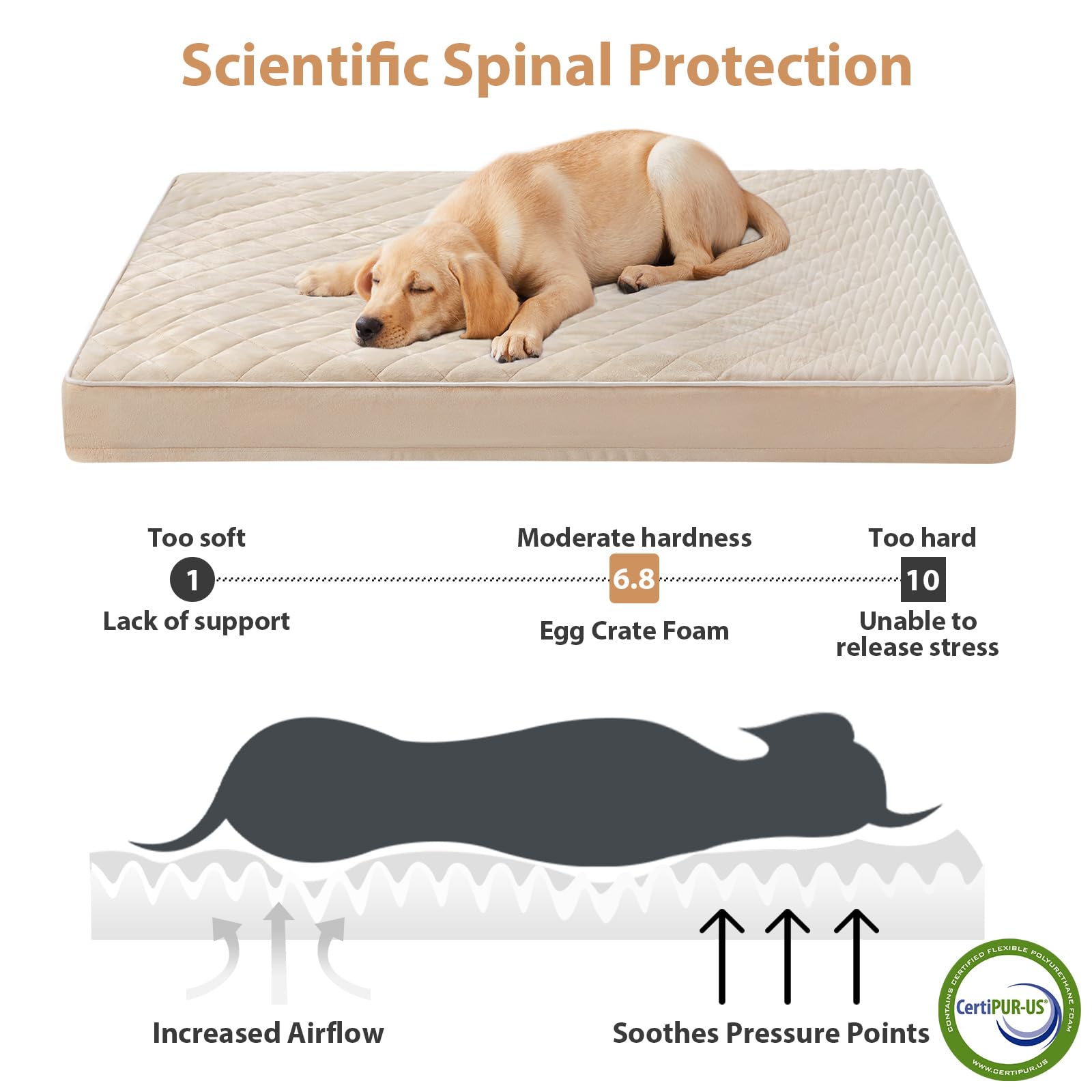 WNPETHOME washable dog bed cover with detachable zipper for easy cleaning.