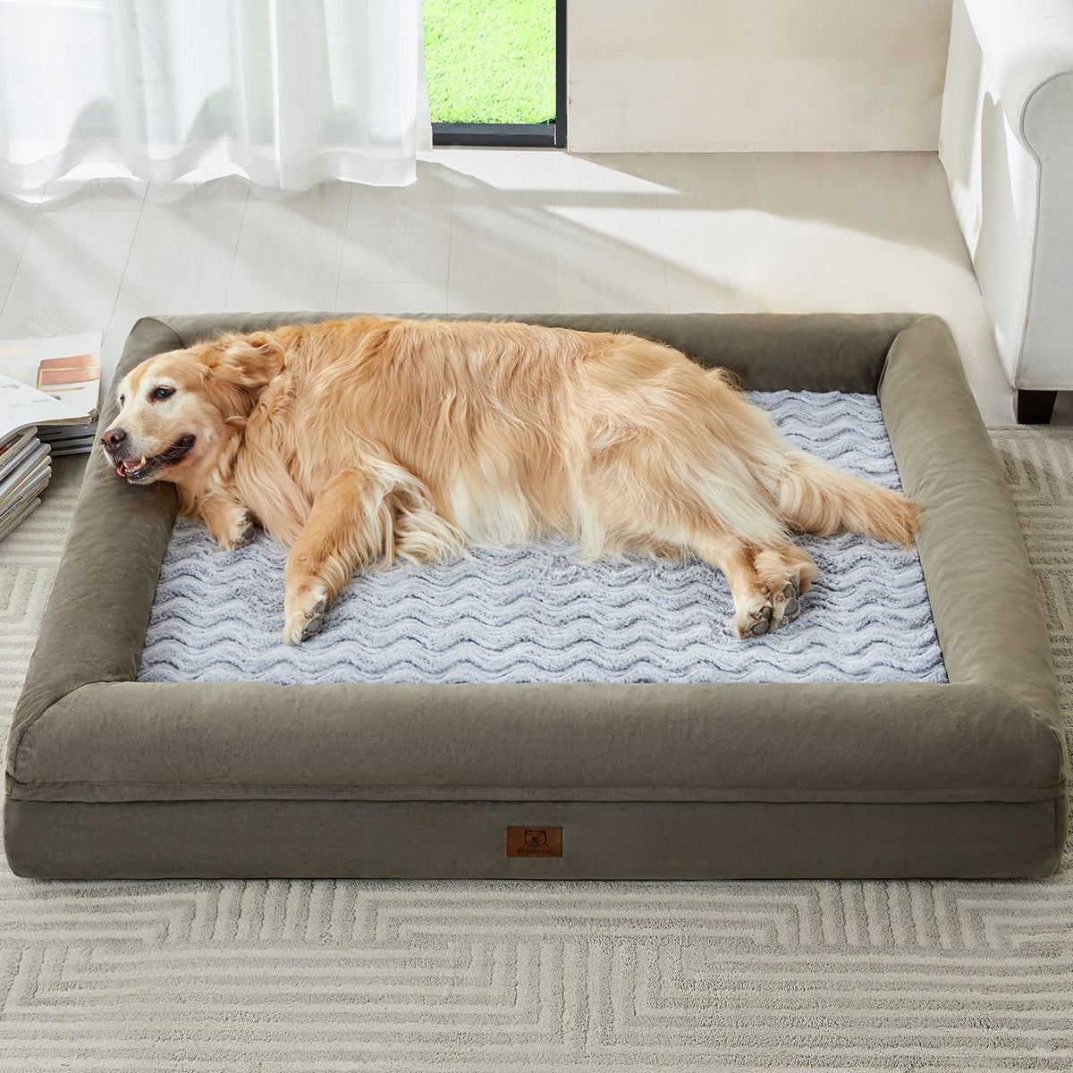 WNPETHOME XL dog bed with soft velvet cover for cozy lounging and skin-friendly comfort.