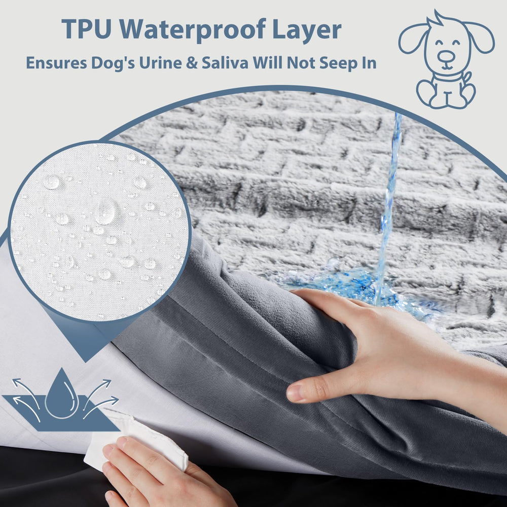 WNPETHOME XL unboxed setup suggests quick air-out and rebound.