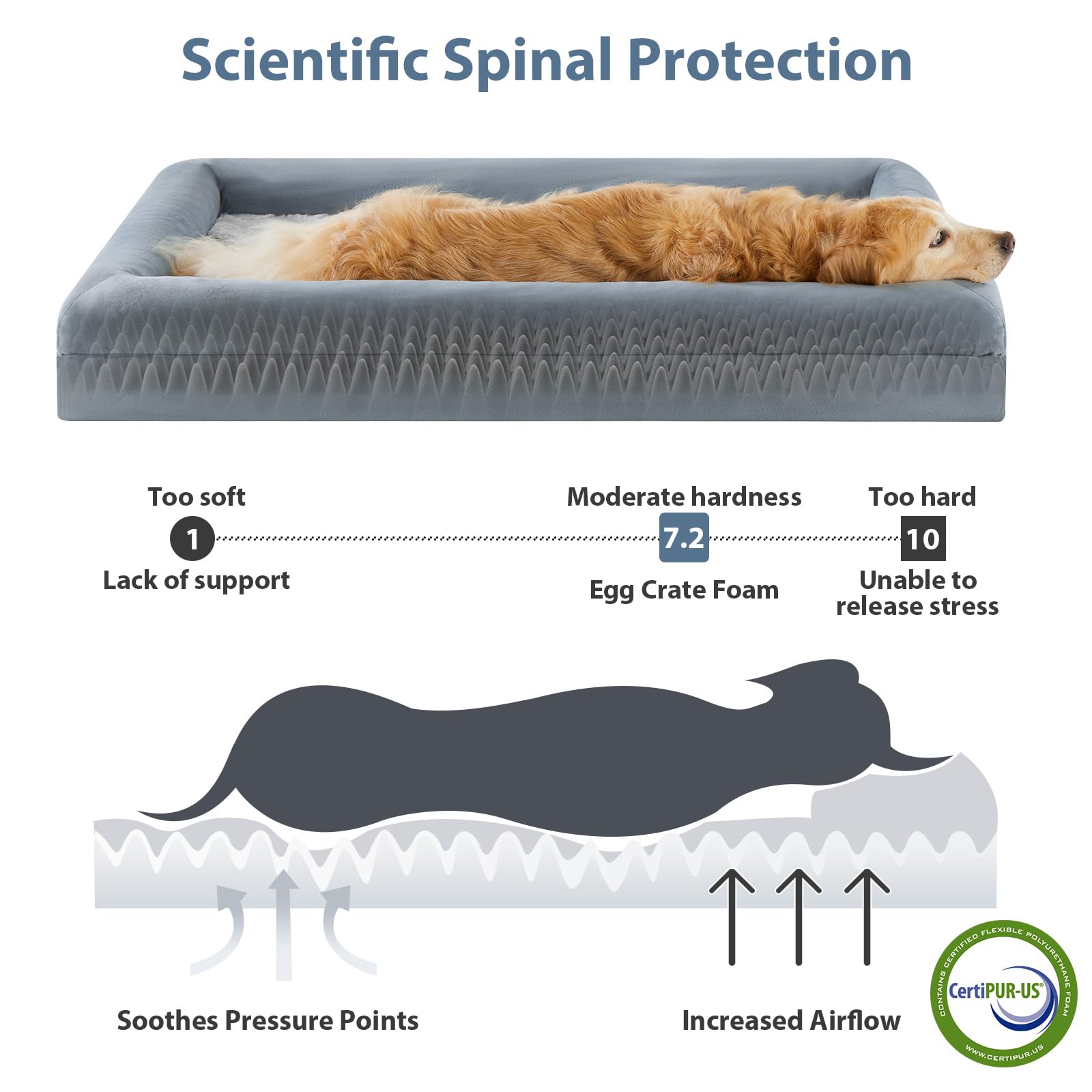 WNPETHOME XXL orthopedic egg-crate foam helps distribute weight and relieve pressure.