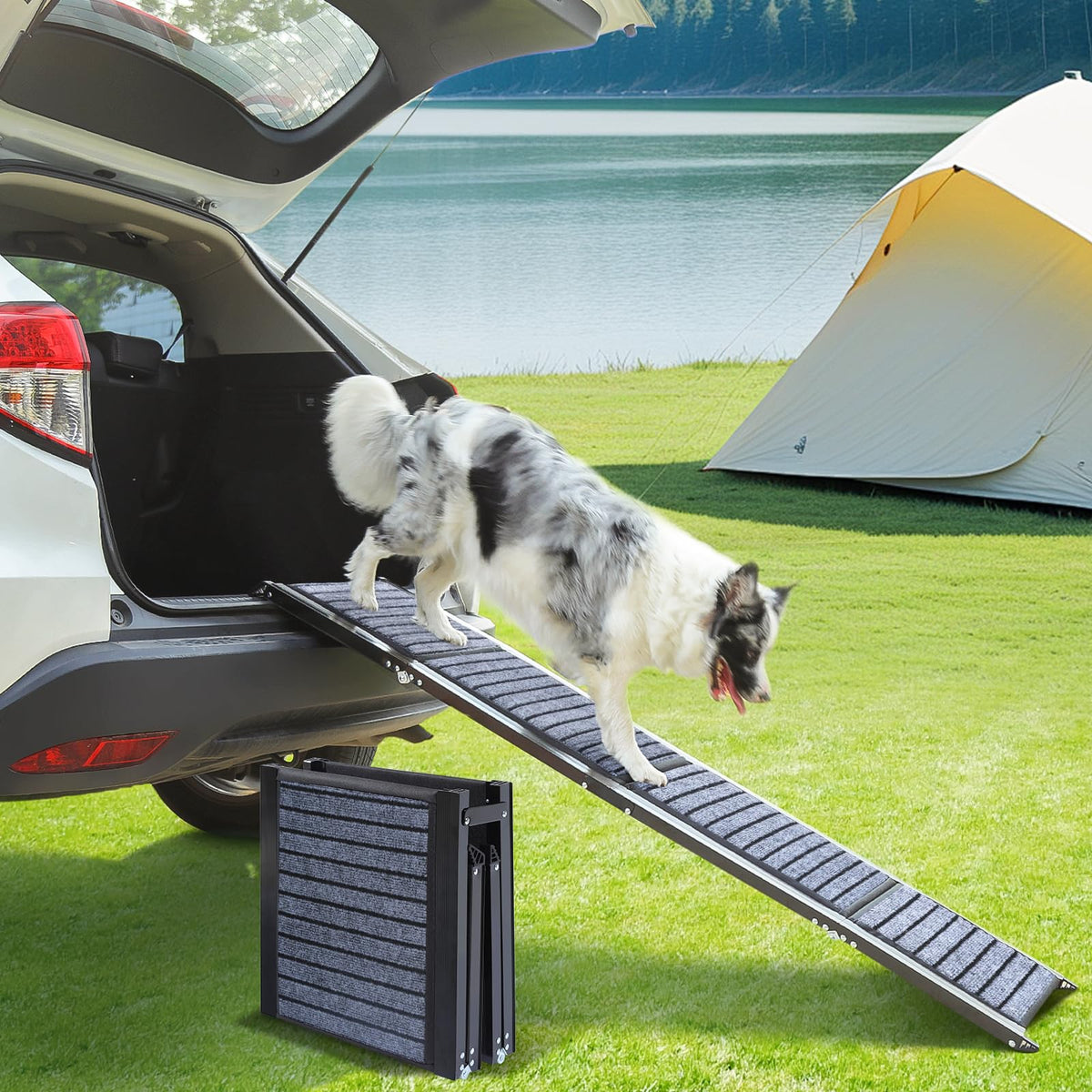 Wn's Day 63-inch dog ramp car use offers gentle incline for easier entry