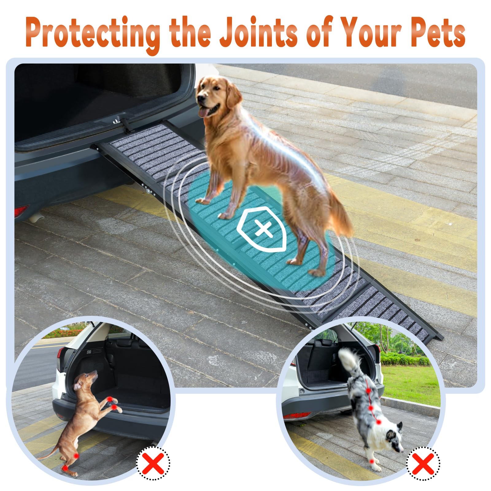 Wn's Day anti-slip carpet texture ensures stable paw grip on ramp