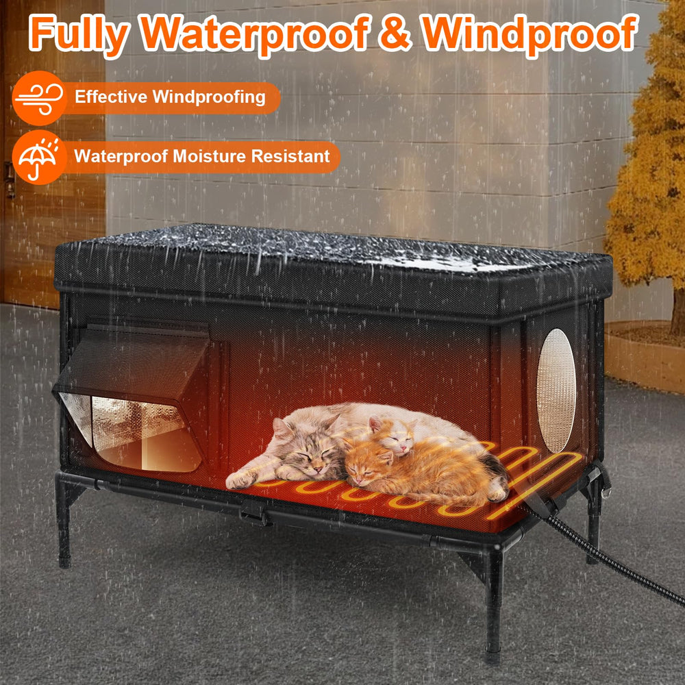 Wn's Day side window lets cats observe outdoors and reduce anxiety.