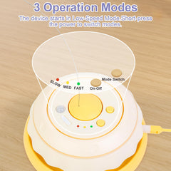 Wn's Day feathers-dance attachment prompts dynamic play and prey-like chasing.