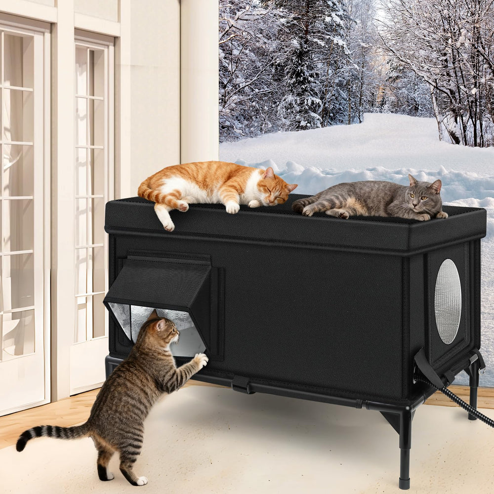 Wn's Day escape door design helps cats evacuate safely if needed.