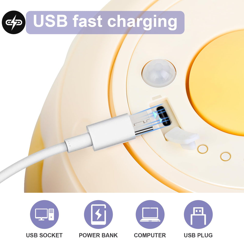 Wn's Day gift box includes spare feathers for extended toy fun.