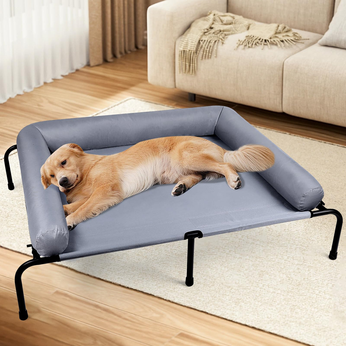 Wn's Day large elevated dog bed assembly shows sturdy frame and quick setup for indoors