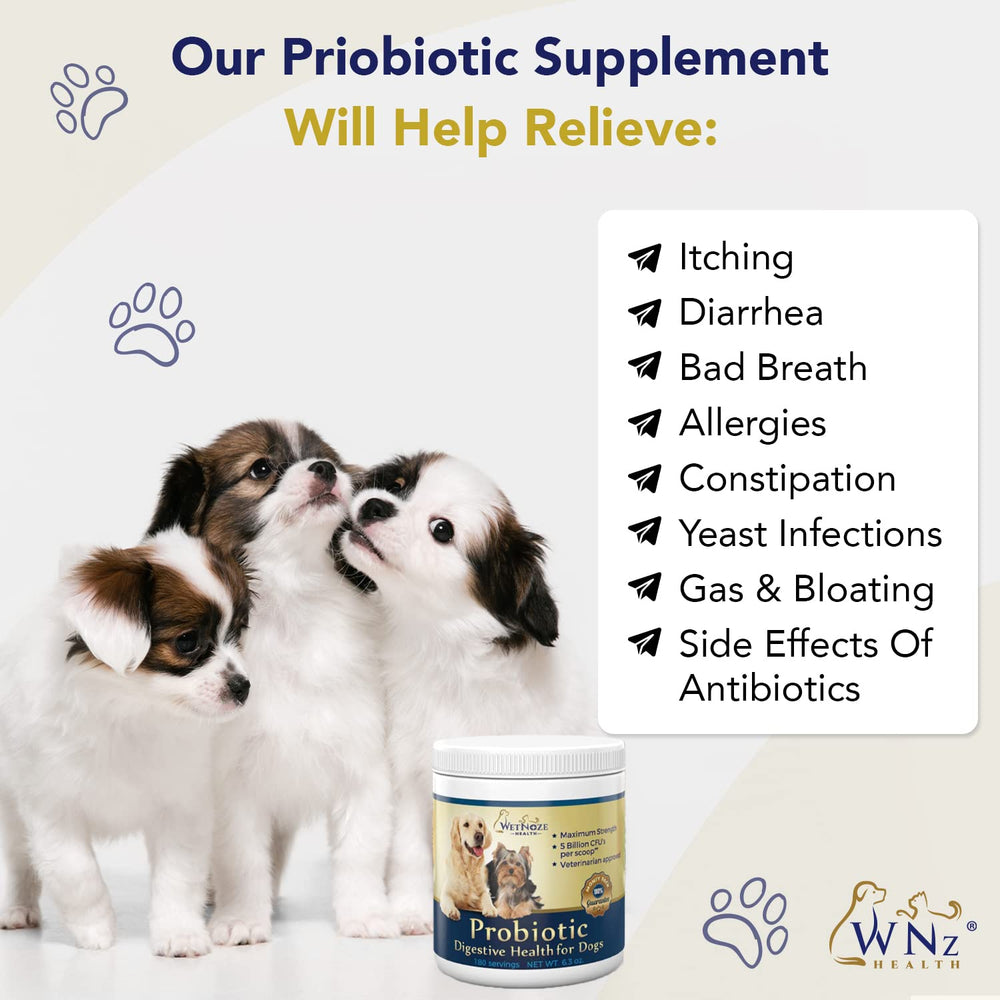 WNz Health immune-supporting probiotics for dogs balance gut flora.