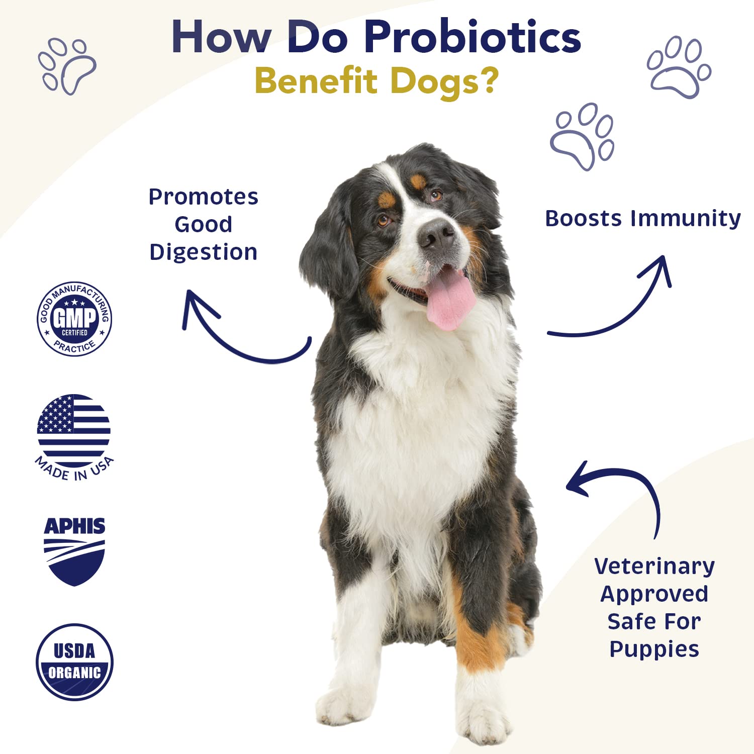 WNz Health dog gut health probiotics promote better nutrient absorption.