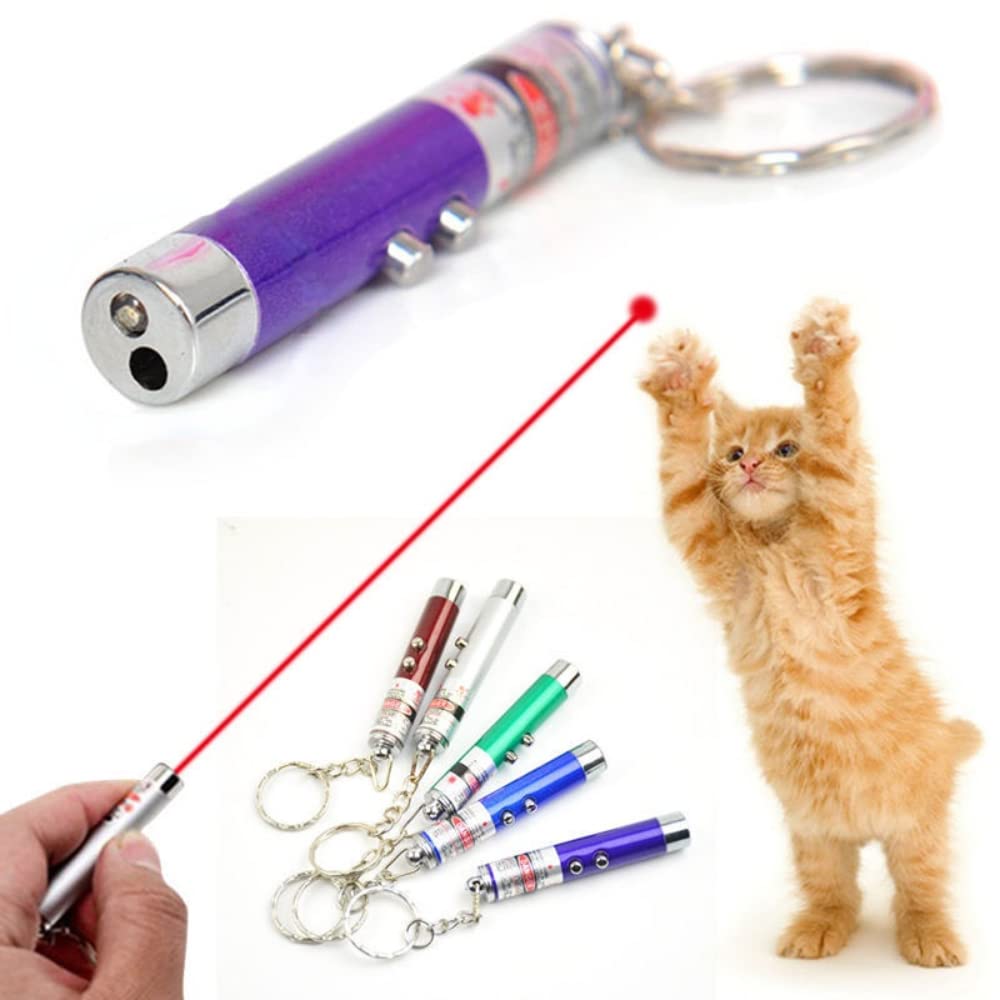 WNZQK laser pointer keychain flashlight dual-function convenience.