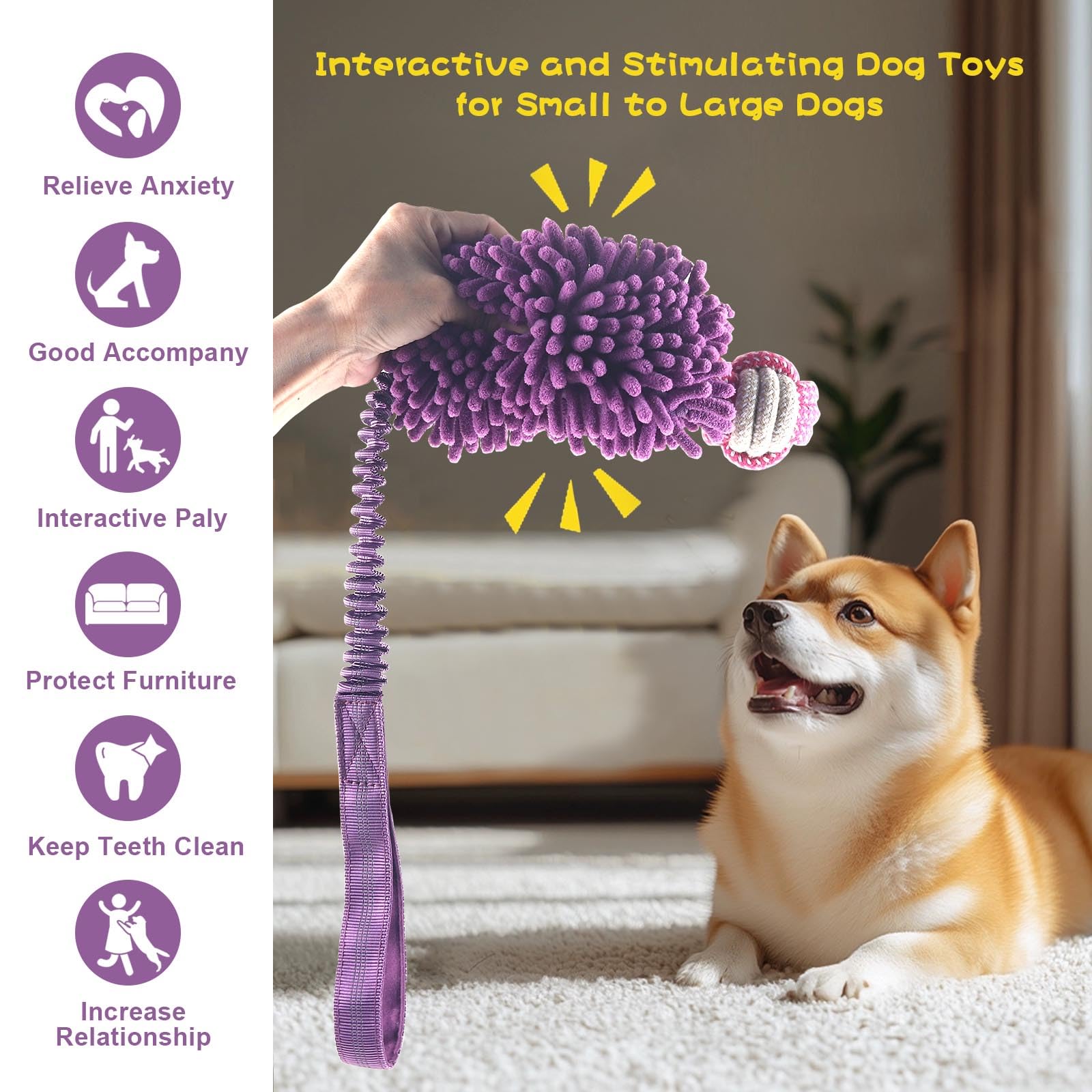 Wodoca toy in bright colors for dog training and visibility
