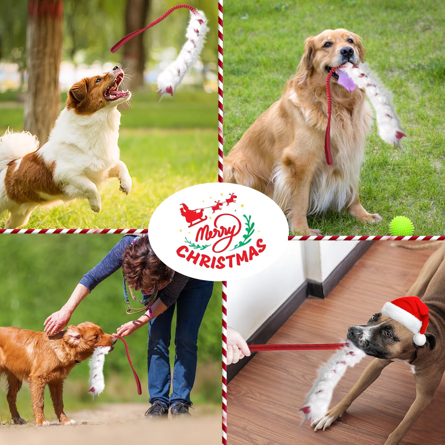Wodoca Christmas dog tug toy outdoor play captures interactive bonding during outdoor sessions.
