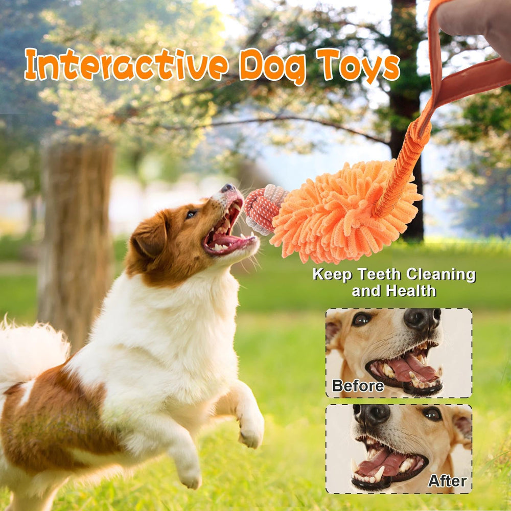 Wodoca dog toy gift idea for puppies and owners