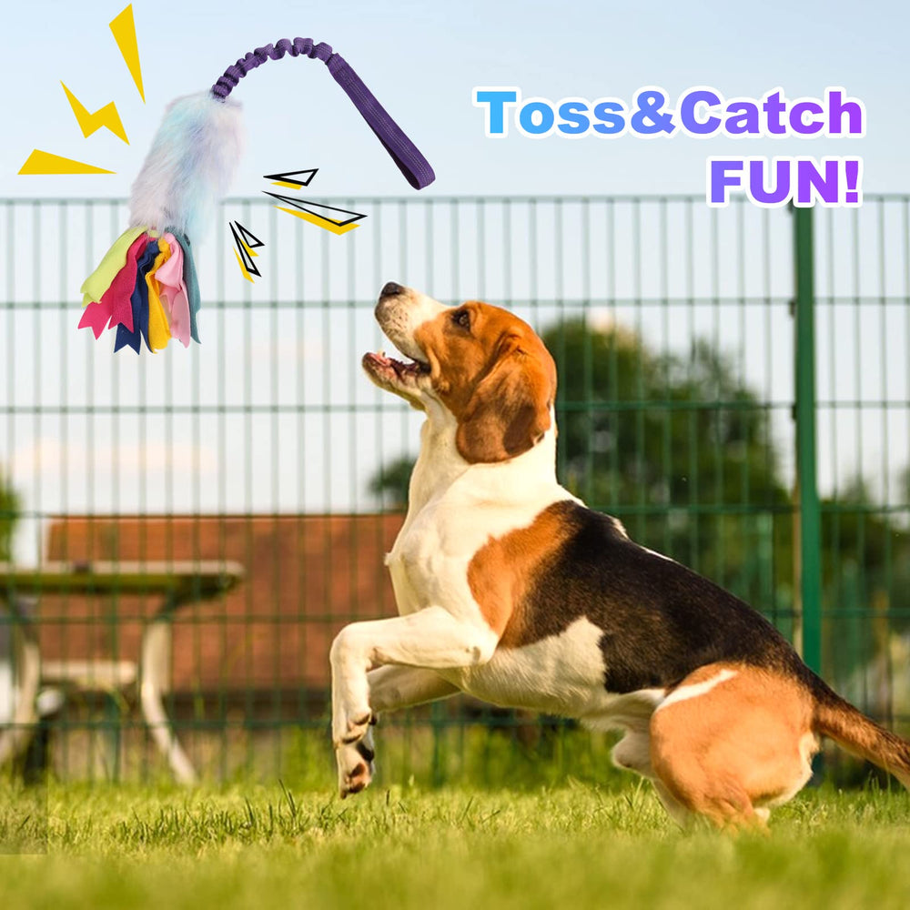 Wodoca dog rope toy gift-ready shot emphasizes versatile fun for dogs of all ages.