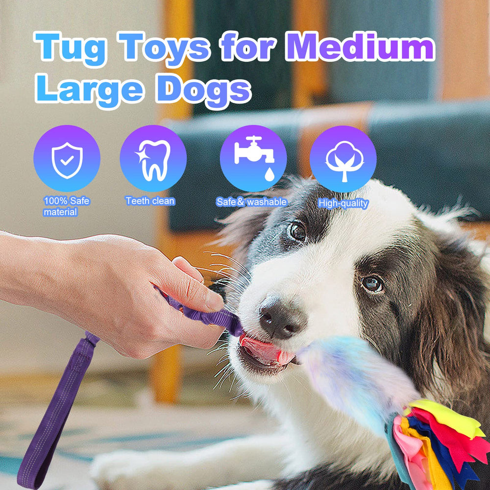 Wodoca dog rope toy interactive play scene illustrates training and fetch-ready fun.