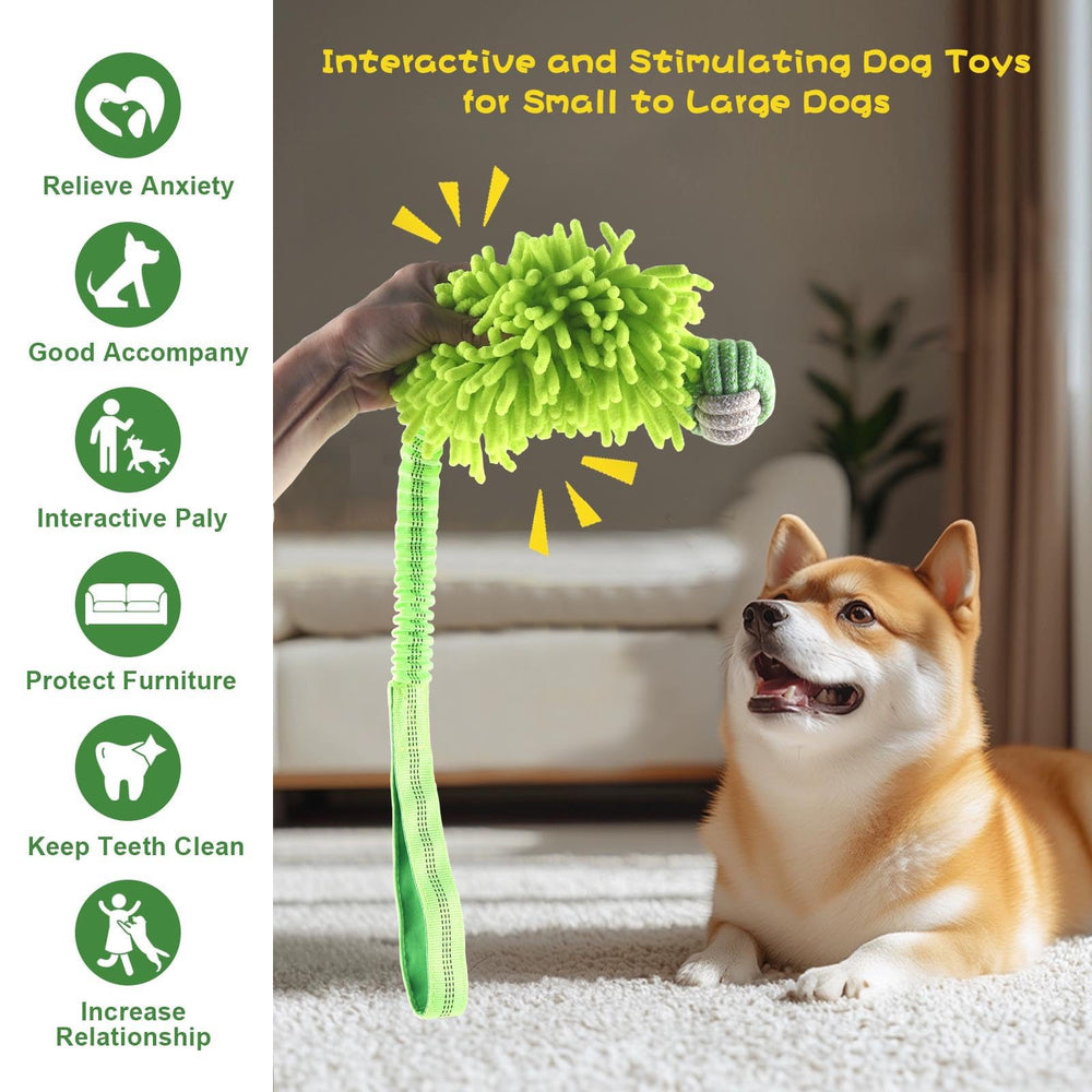 Wodoca squeaky ball toy inside device boosts dog attraction during training