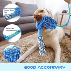 Wodoca teeth-cleaning toy helps chewing while supporting oral care.
