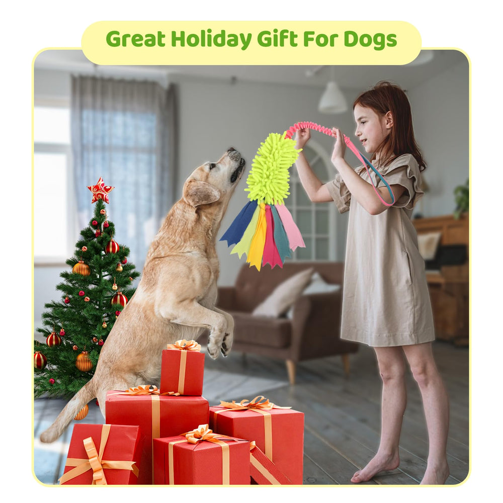 Wodoca dog tug toy indoor-outdoor-play supports versatile fun for any environment.