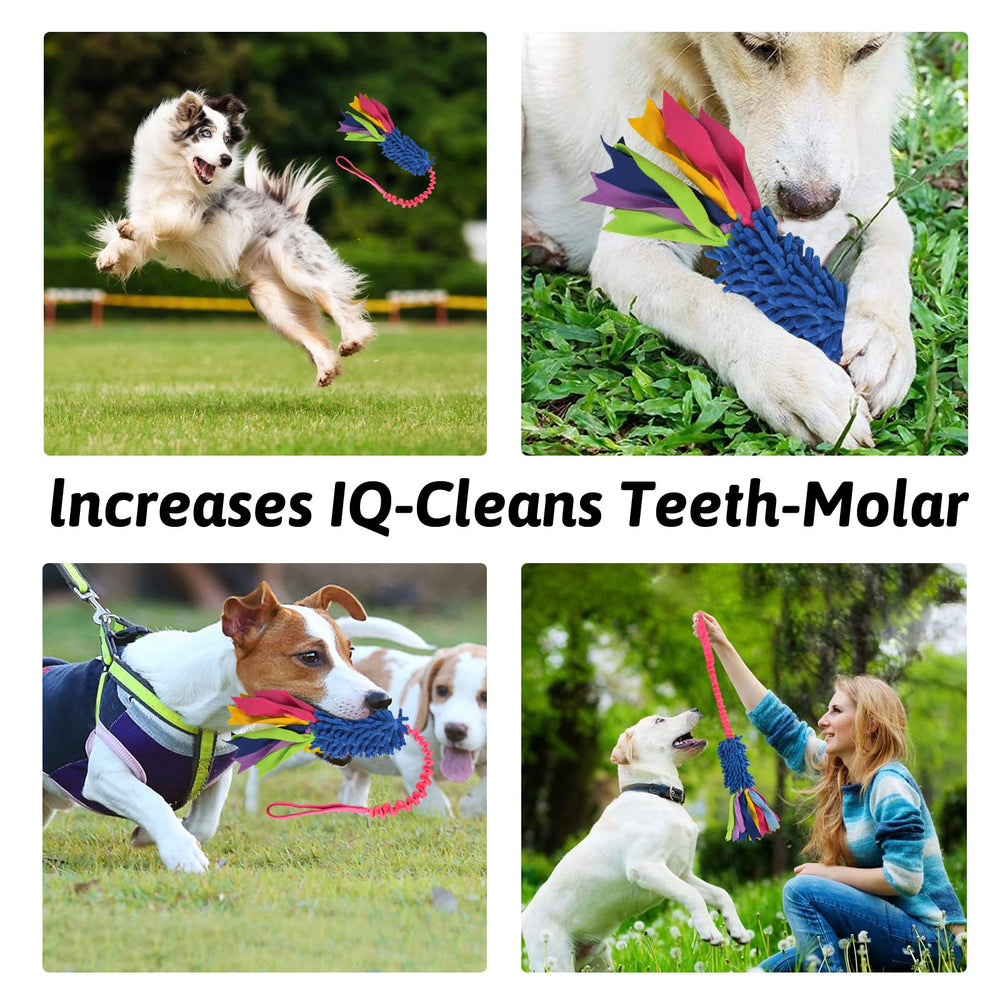 Wodoca dog tug toy in training scenario showcases recall and focus